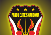 Selamat Datang Di Blog Pandu Elite Smandoma